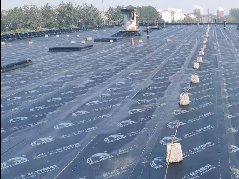 首页-人生就是博中国官方网站