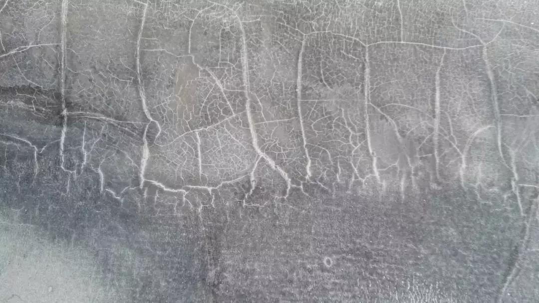 首页-人生就是博中国官方网站