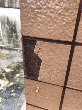 首页-人生就是博中国官方网站