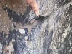 首页-人生就是博中国官方网站