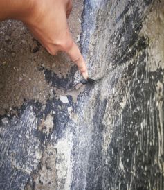 首页-人生就是博中国官方网站