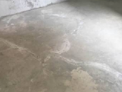 首页-人生就是博中国官方网站