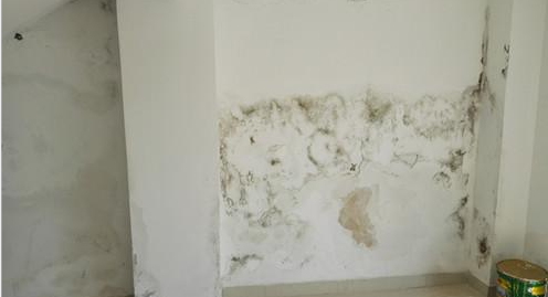 首页-人生就是博中国官方网站