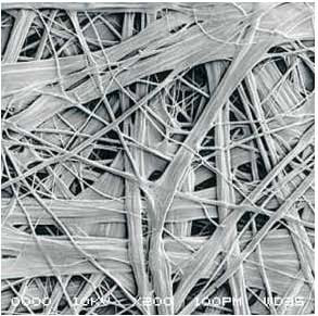 首页-人生就是博中国官方网站