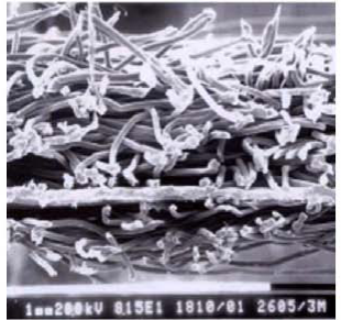 首页-人生就是博中国官方网站