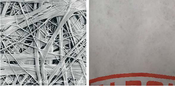 首页-人生就是博中国官方网站