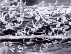 首页-人生就是博中国官方网站