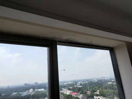 首页-人生就是博中国官方网站