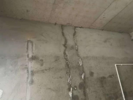 首页-人生就是博中国官方网站