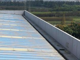 首页-人生就是博中国官方网站