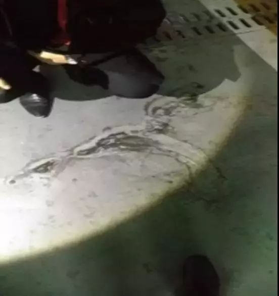 首页-人生就是博中国官方网站