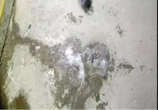 首页-人生就是博中国官方网站