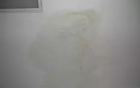 首页-人生就是博中国官方网站