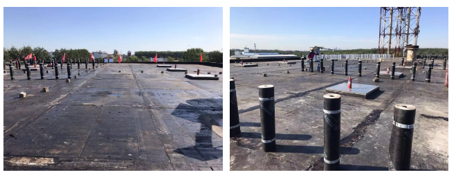 首页-人生就是博中国官方网站