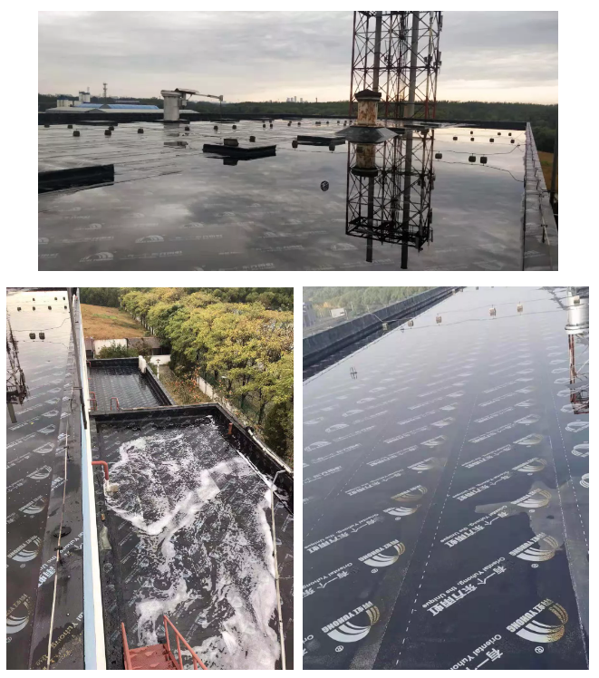 首页-人生就是博中国官方网站