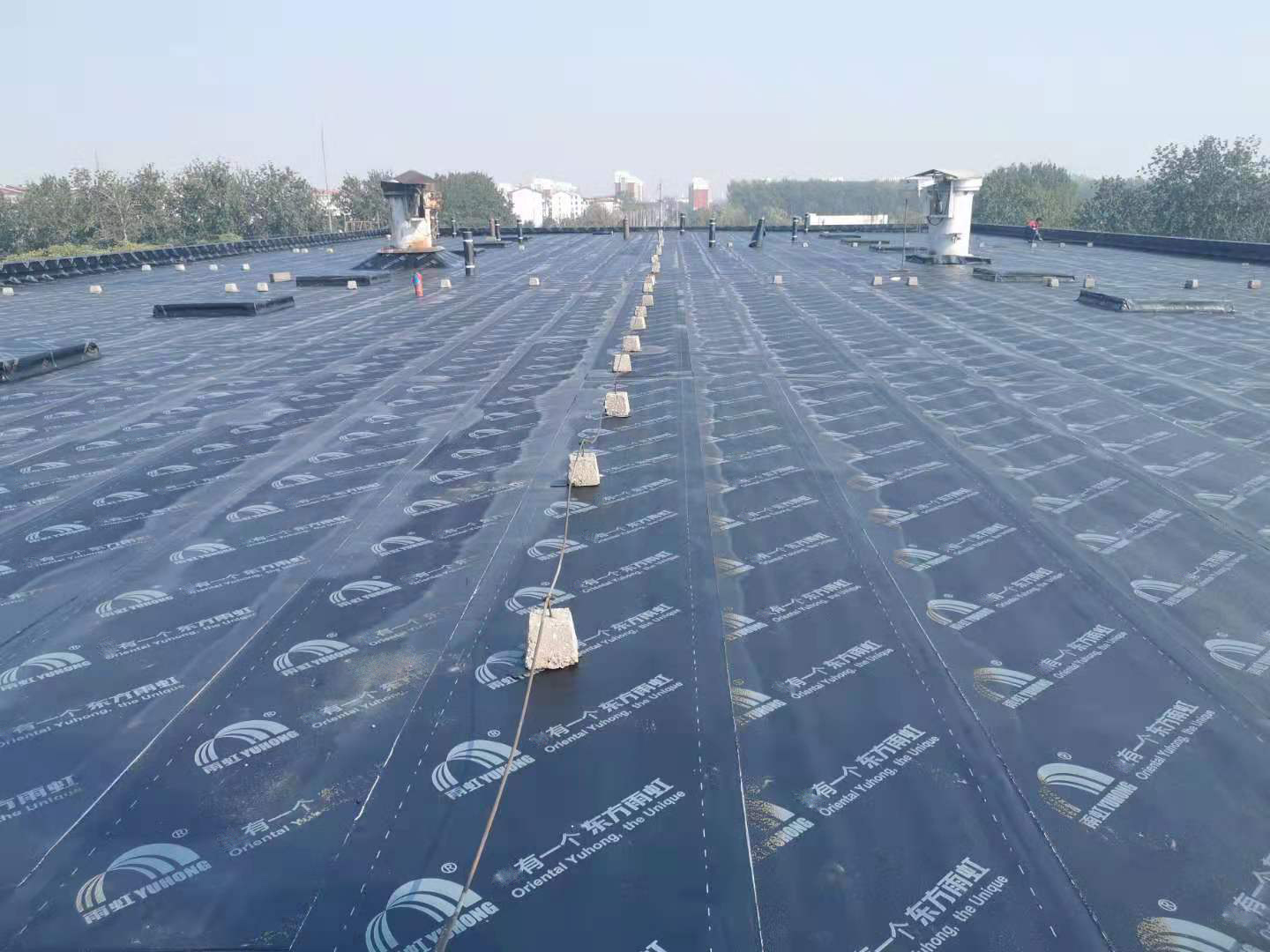 首页-人生就是博中国官方网站