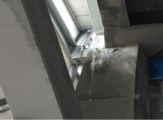 首页-人生就是博中国官方网站