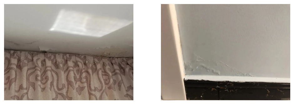 首页-人生就是博中国官方网站