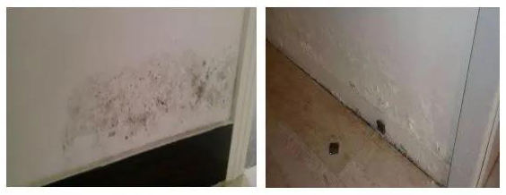 首页-人生就是博中国官方网站