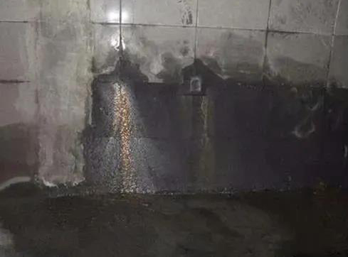 首页-人生就是博中国官方网站