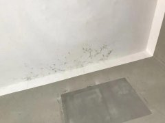 首页-人生就是博中国官方网站