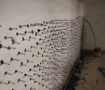 首页-人生就是博中国官方网站