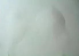 首页-人生就是博中国官方网站