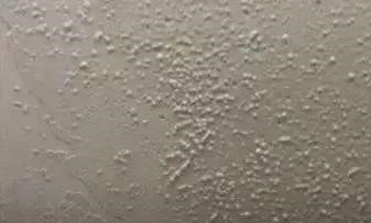 首页-人生就是博中国官方网站