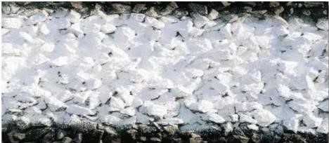 首页-人生就是博中国官方网站