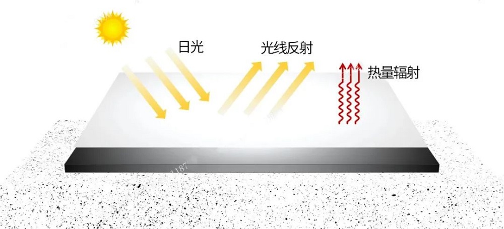 首页-人生就是博中国官方网站