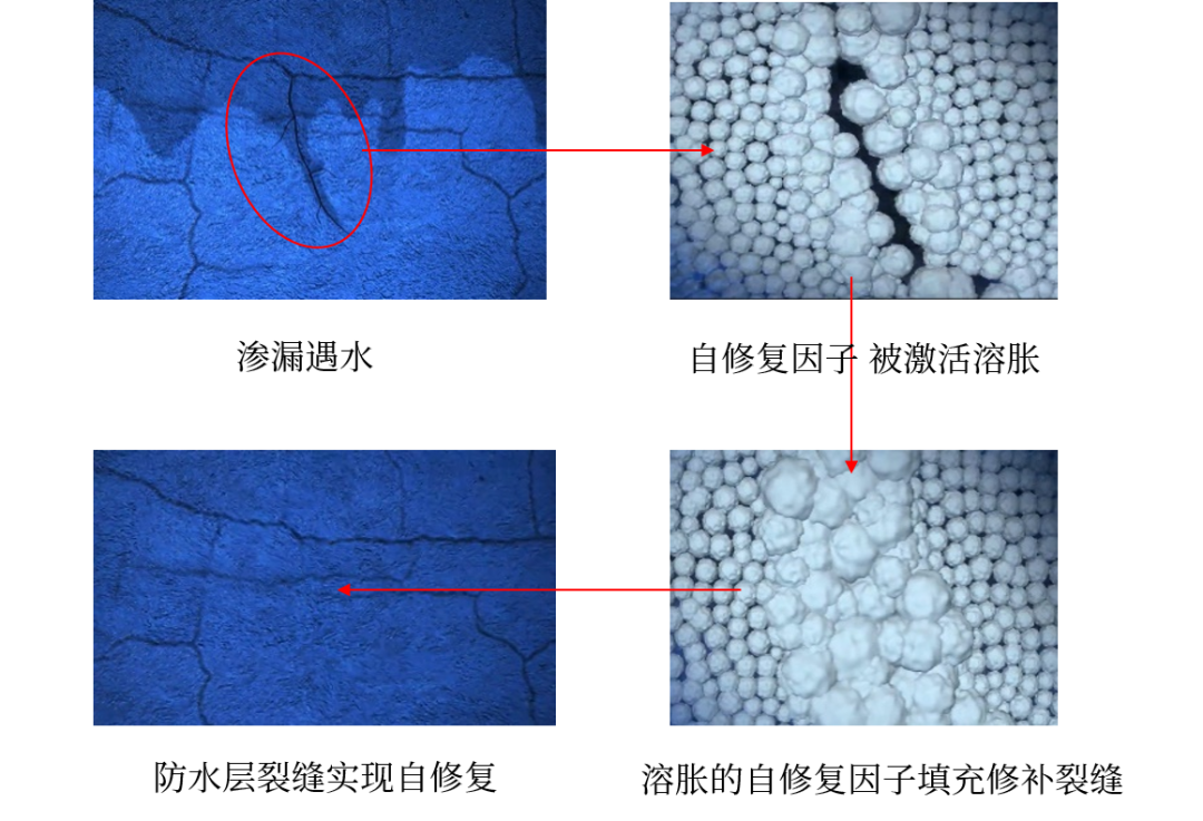 首页-人生就是博中国官方网站